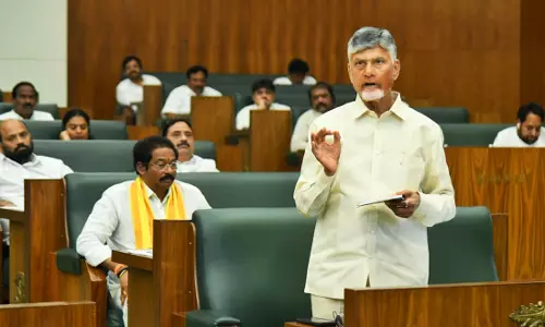 Naidu Unveils Blueprint to Complete Irrigation Projects