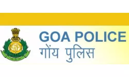 Goa Nightclub Fire: Police File Chargesheet against 13 Persons, Including Club Owners