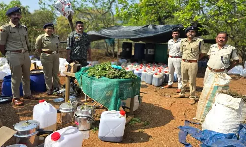 Rs 225 Crore Worth Hashish Oil, Ganja Seized in Odisha Rs 225 Crore Worth Hashish Oil, Ganja Seized in Odisha