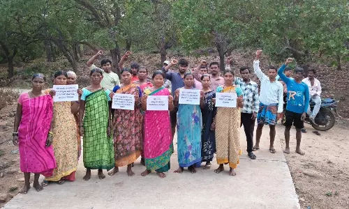 Tribal Farmers Intensify Stir for MSP for Cashew Crop
