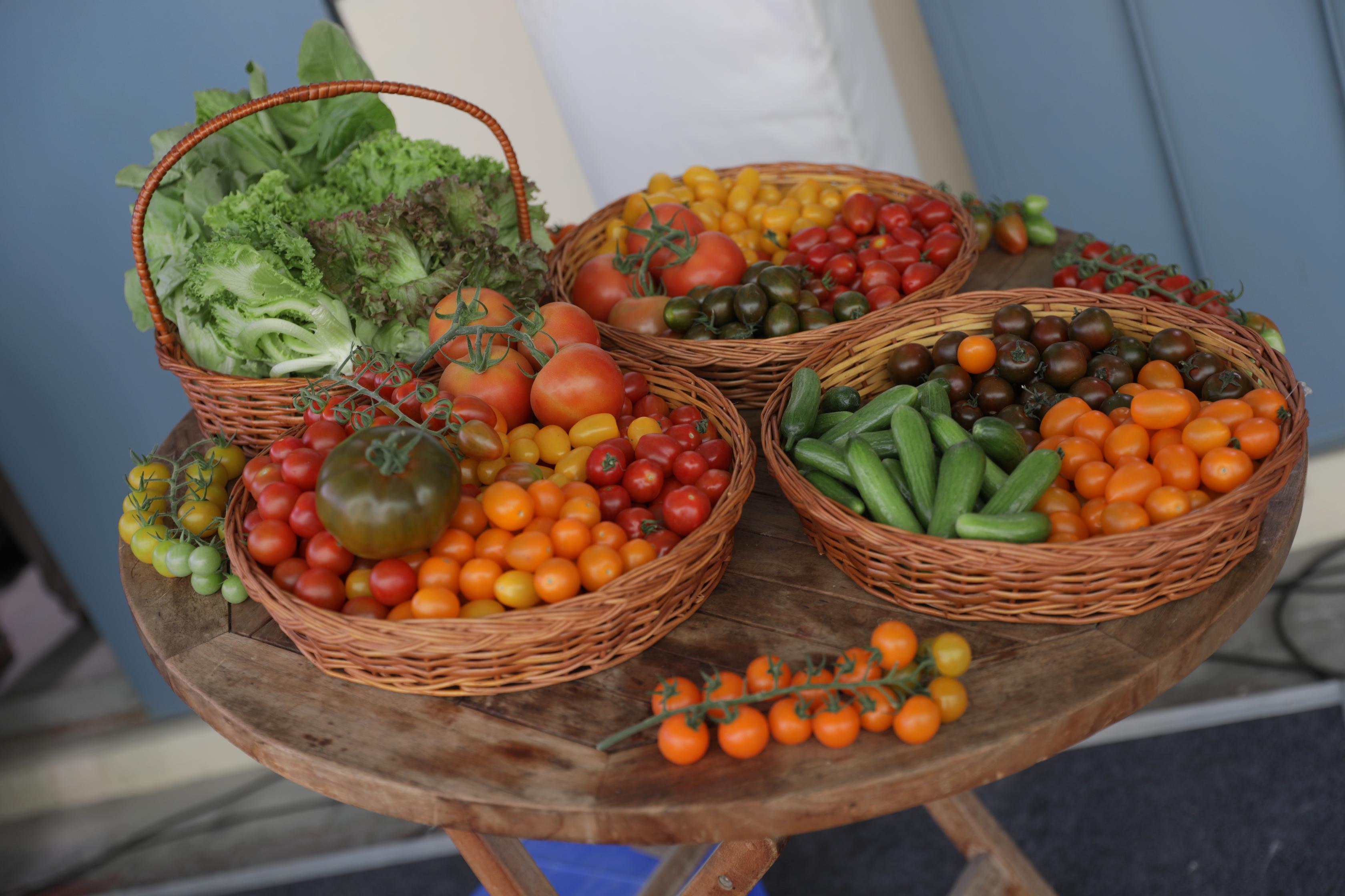 Israeli Chef Ruthie Russo Brings the Flavours of Israel to Bengaluru