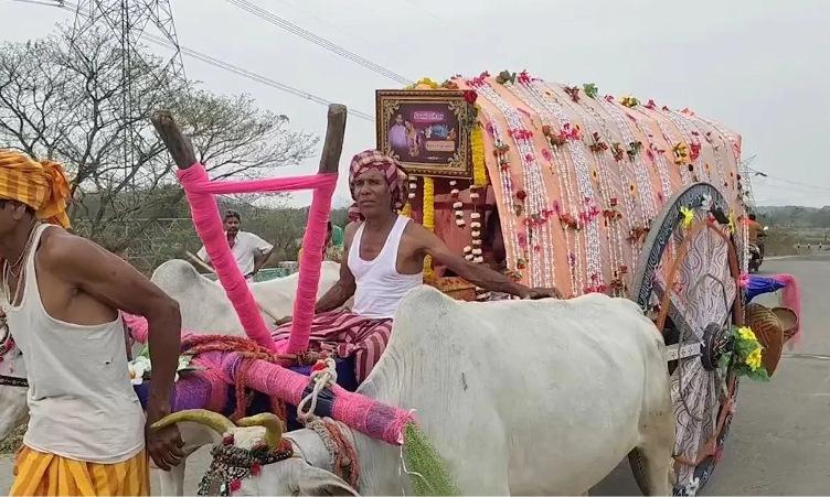 Upholding Tradition: Odisha Bride Travels To Groom’s Home In Decorated Bullock Cart