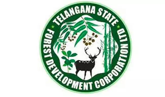 Container Hospital Sub-Centres Set Up in Agency Areas of Khammam