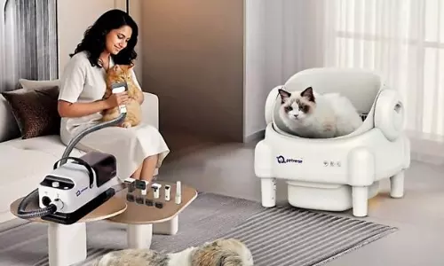 Smart Care For Modern Homes