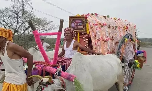Upholding Tradition: Odisha Bride Travels To Groom’s Home In Decorated Bullock Cart Upholding Tradition: Odisha Bride Travels To Groom’s Home In Decorated Bullock Cart