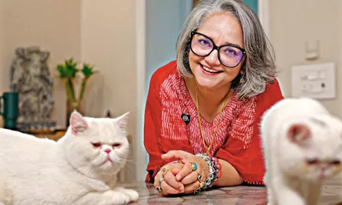 Going Bananas Over Baby Punch