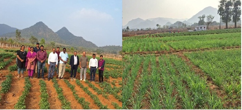 Odisha Farmer’s Integrated Model Yields Prosperity, Jobs In Tribal Rayagada