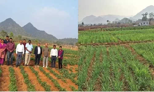 Odisha Farmer’s Integrated Model Yields Prosperity, Jobs In Tribal Rayagada
