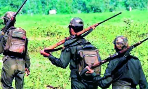 Final Push In Bastar: Forces Close In On Last 36 Maoists