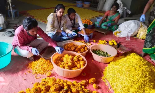 Telangana Governor to Celebrate Eco-Friendly Holi with PJTSAU’s Plant-Based Colours Telangana Governor to Celebrate Eco-Friendly Holi with PJTSAU’s Plant-Based Colours