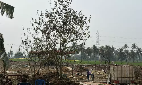 Firecracker Blast: Woman’s Head Found in Paddy Fields Firecracker Blast: Woman’s Head Found in Paddy Fields