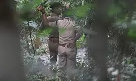 Man, Woman Found Dead In Forest Near Rapur–Chitvel Ghat Road