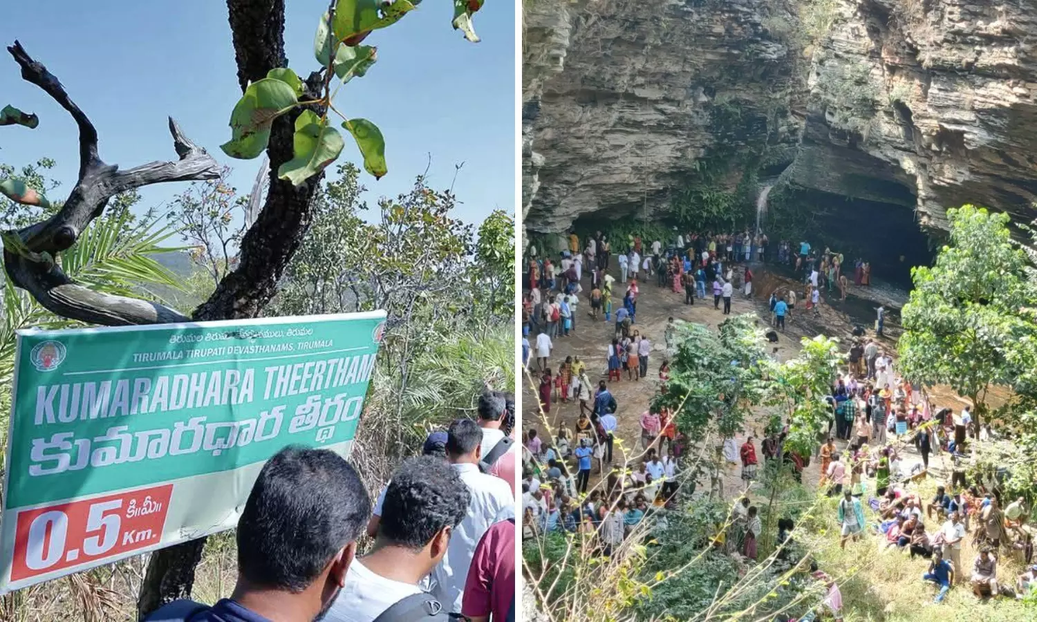 Thousands Trek Through Forest Paths For Holy Dip at Kumaradhara Theertham Thousands Trek Through Forest Paths For Holy Dip at Kumaradhara Theertham