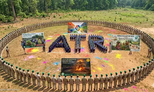 Amrabad Tiger Reserve Observe Holi And World Wildlife Day On Tuesday