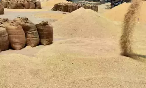 15 tonnes Of PDS Rice Seized In NTR District