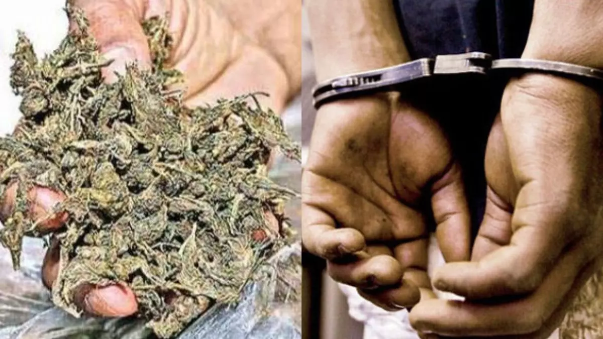 Ex-Navy official Held With 1.2 kg Ganja,10 Cannabis Plants In Kerala Ex-Navy official Held With 1.2 kg Ganja,10 Cannabis Plants In Kerala
