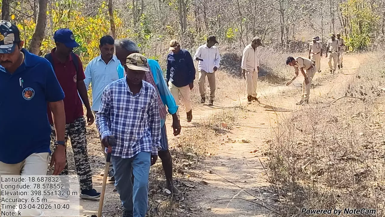 Paw Prints Confirm Tiger Presence in Kamareddy Forest Range Paw Prints Confirm Tiger Presence in Kamareddy Forest Range