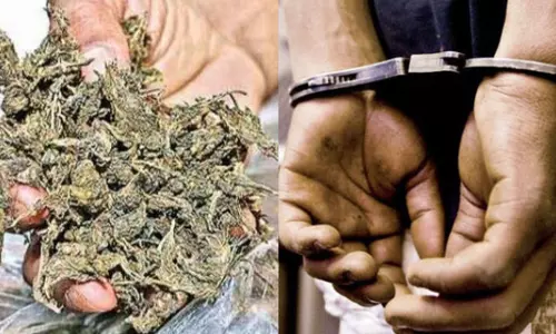 Ex-Navy official Held With 1.2 kg Ganja,10 Cannabis Plants In Kerala