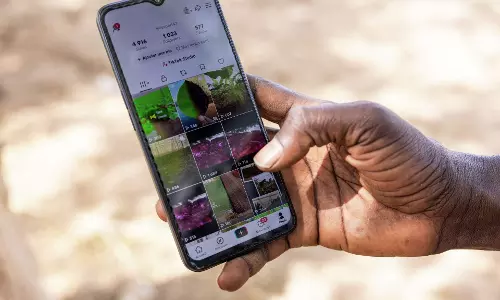 West African Farmers Do TikTok As Part Of Agricultures Changing Face