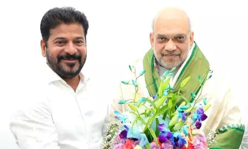 Revanth Wants 22 More IPS Officers For Telangana