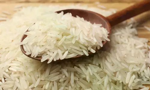 Rice Exporters Seek Urgent Relief As Iran Crisis Disrupts Exports, Shipping