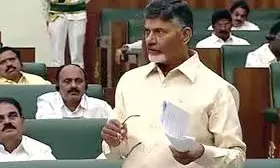 AP: Draft Population Management Policy Introduced in Assembly