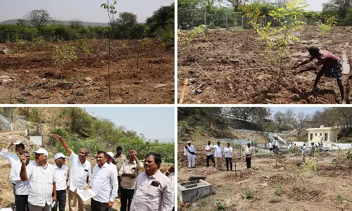 TTD Focuses On Increasing Greenery at Ramatheertham Hill