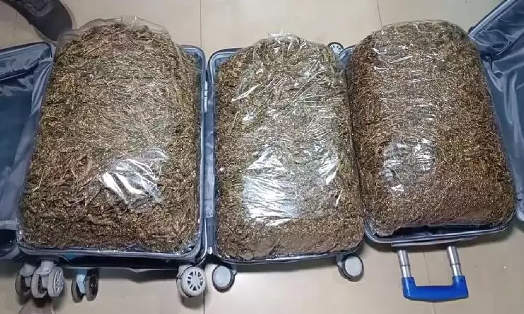 deccanchronicle.com - Akshaya Kumar Sahoo - Four Arrested Odisha With 24 Kg Ganja Near Bhadrak Railway Station