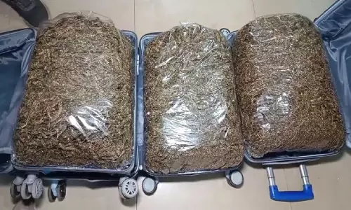 Four Arrested Odisha With 24 Kg Ganja Near Bhadrak Railway Station