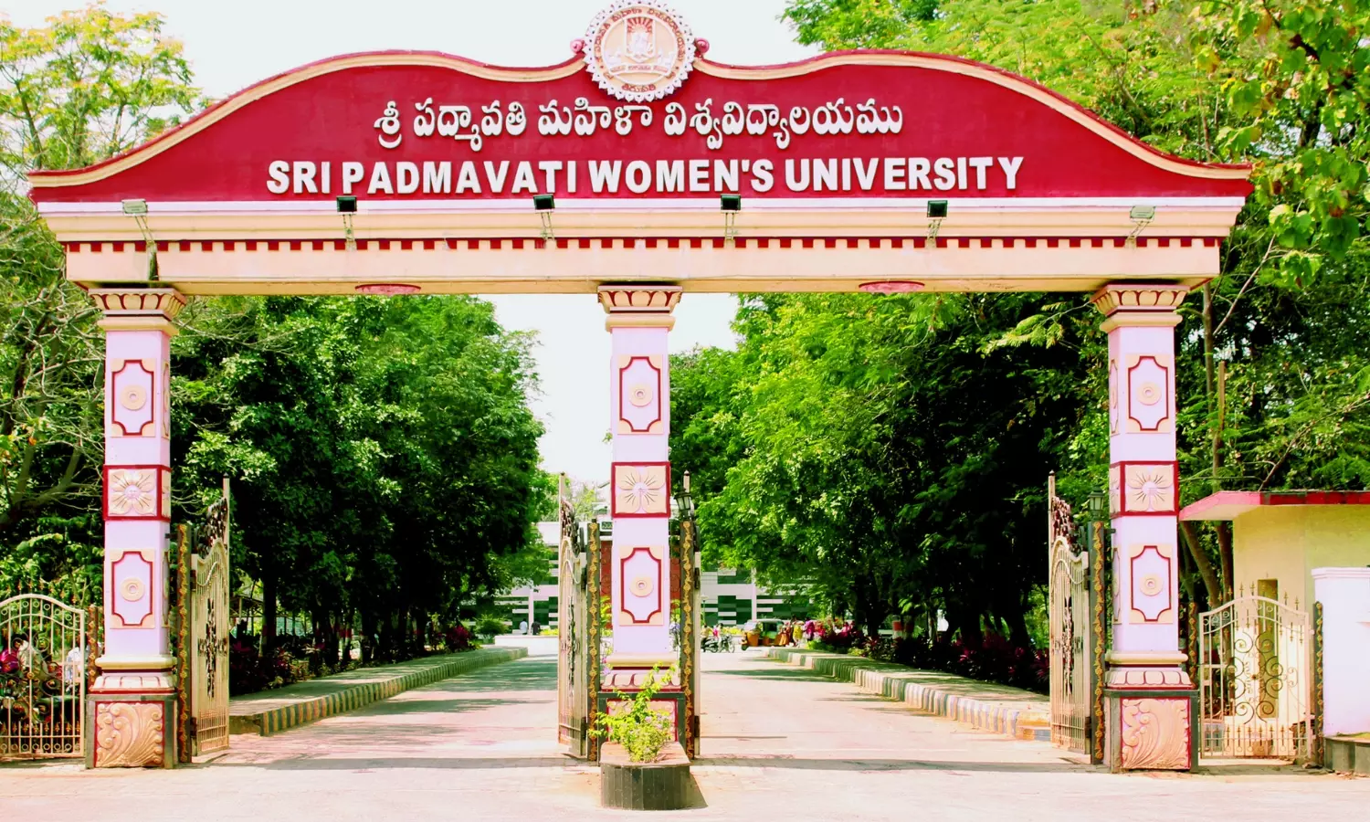 Women’s Role in Development Highlighted at District Events