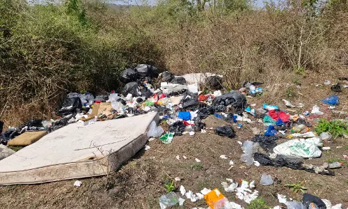 Resort Dumps Trash In ESZ Of Bandipur Tiger Reserve, Gets Notice Resort Dumps Trash In ESZ Of Bandipur Tiger Reserve, Gets Notice