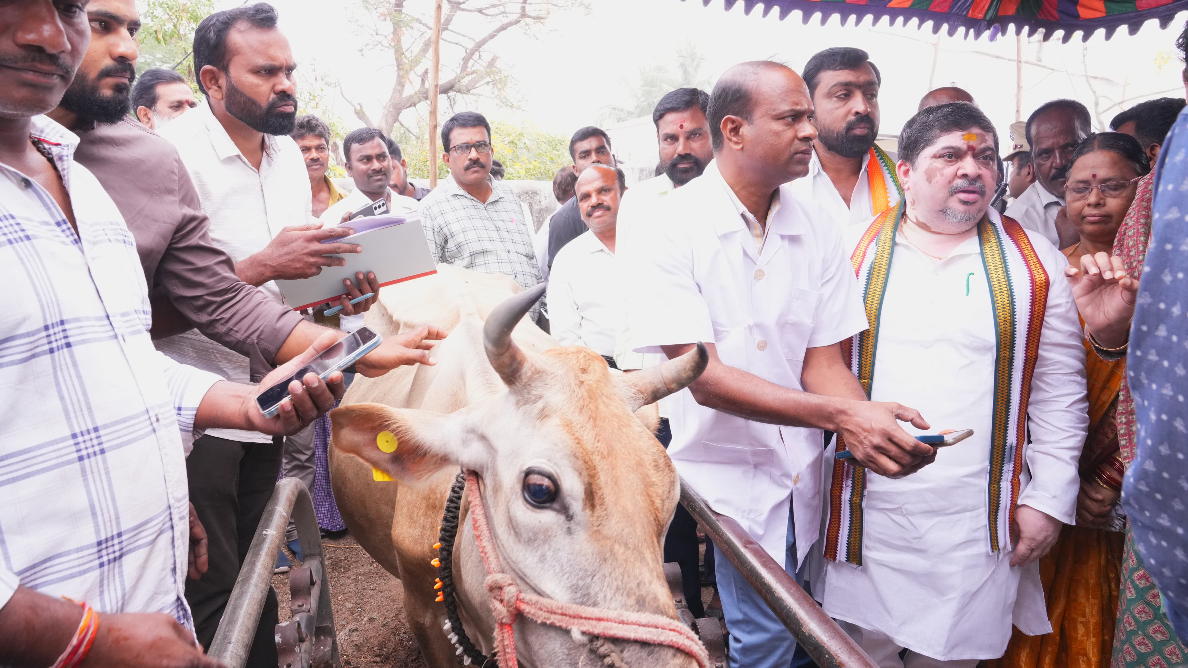 Minister Launches Cattle Vaccination Drive, Wants Nawabpet To Be Model Village