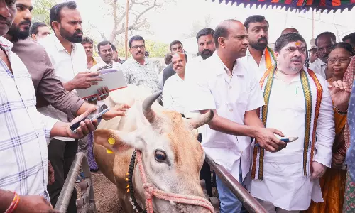 Minister Launches Cattle Vaccination Drive, Wants Nawabpet To Be Model Village