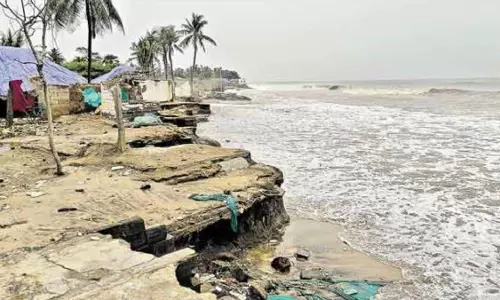 Massive Coastline Erosion in AP, Says Study from 1990 to 2022