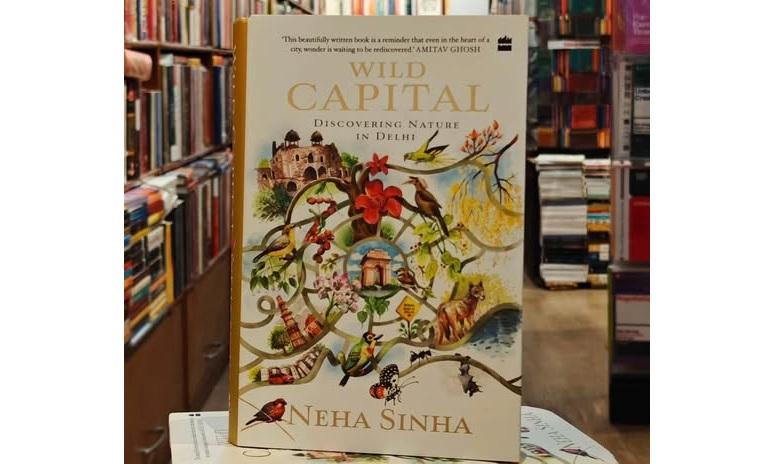 Top Ten Books of the Week 4.3.2026