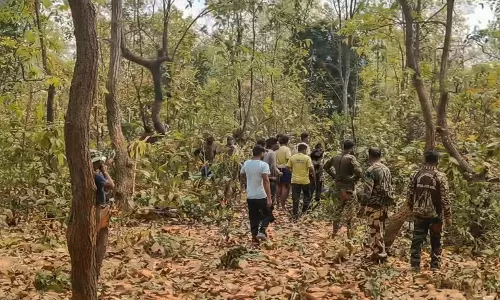 Elephant Dies After Consuming Explosive Bait Set For Wild Boar In Odisha Elephant Dies After Consuming Explosive Bait Set For Wild Boar In Odisha