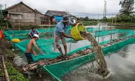 Shrimp Farmers Urged Not To Panic Over Middle East Tensions