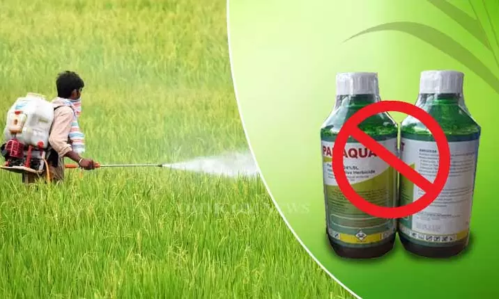 Telangana Agriculture Commission Seeks Ban on Sale, Use Of Herbicide Paraquat