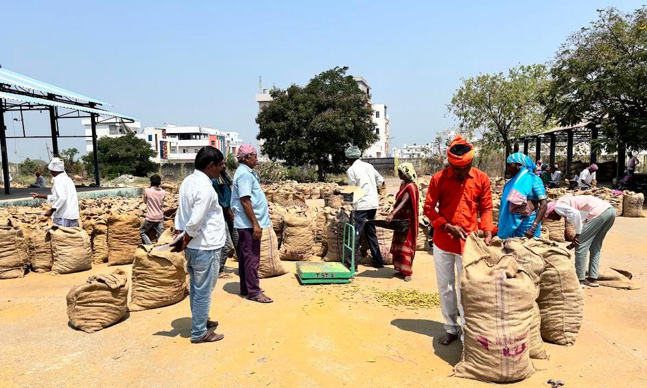 War in West Asia Causes Turmeric Prices to Tumble in Nizamabad Market