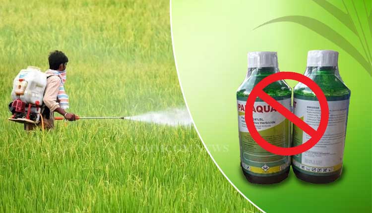 Telangana Agriculture Commission Seeks Ban on Sale, Use Of Herbicide Paraquat