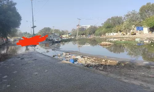 An Intern at War with His City Administration