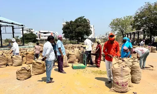 War in West Asia Causes Turmeric Prices to Tumble in Nizamabad Market
