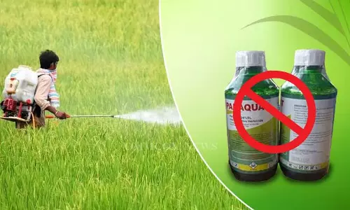 Telangana Agriculture Commission Seeks Ban on Sale, Use Of Herbicide Paraquat