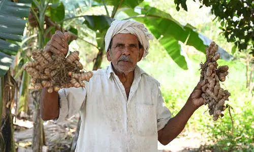 Naidu Praises Natural Farming Success of Guntur Farmer Rosayya