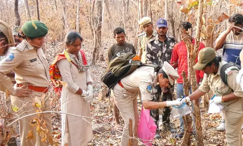 Leopard Killed in Kawal Tiger Reserve, 3 Arrested
