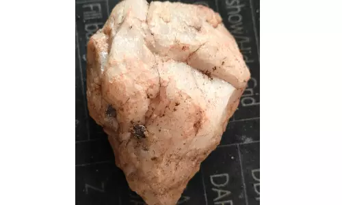 Palaeolithic Tool Unearthed Near Hyderabad