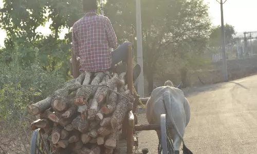 Hotels Stock Firewood Over LPG Supply Concerns Hotels Stock Firewood Over LPG Supply Concerns