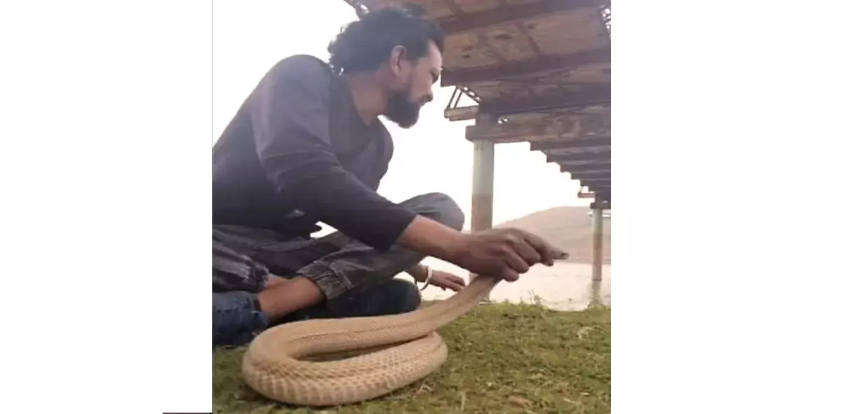 Fallout Of Domestic Dispute: Snake Charmer In Odisha Attempts Suicide By Letting Venomous Snake Bite Him Fallout Of Domestic Dispute: Snake Charmer In Odisha Attempts Suicide By Letting Venomous Snake Bite Him