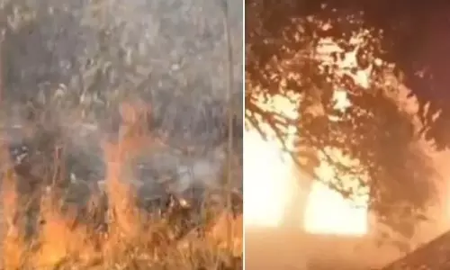 Two Fire Incidents in Odisha Damage Property, Disrupt Highway Traffic