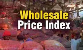 WPI Increases to 11-month High of 2.13% in February